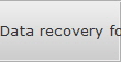 Data recovery for Vienna data